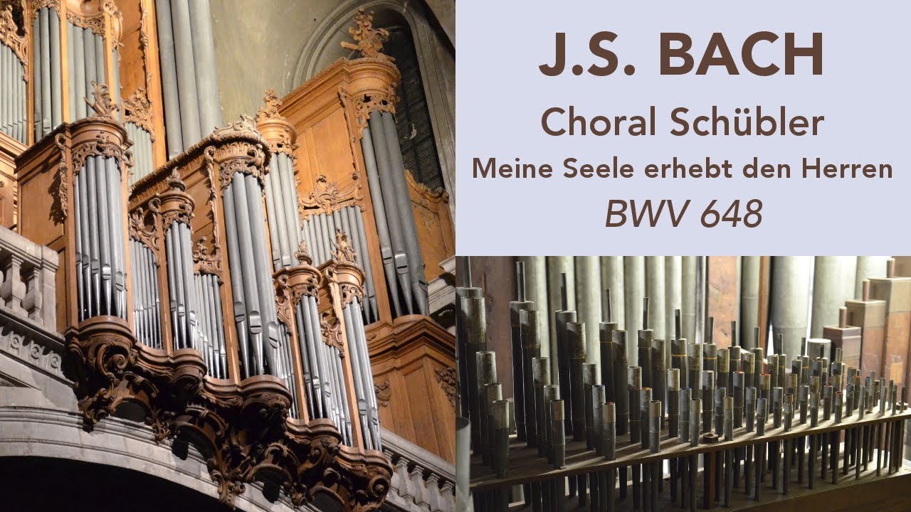 Orgue de la cathédrale de Nancy - Johann Vexo joue Bach (Meine Seele erhebt den Herren)