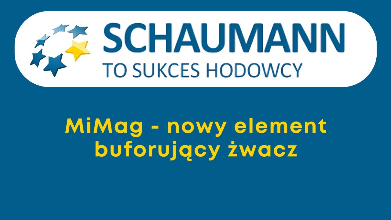 MiMag - nowy element buforujący żwacz