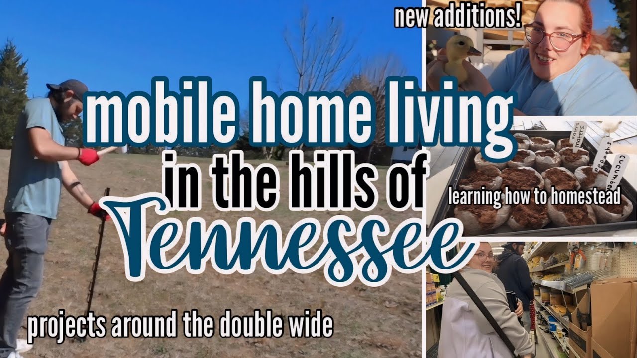 LARGE FAMILY MOBILE HOME LIVING IN THE HILLS OF TENNESSEE | spend the week with me | new additions!