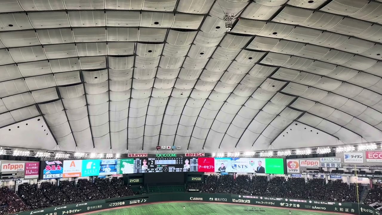 山本大斗 ホームランワイパー 1.2打席 東京ドーム 千葉ロッテ主催 2025.07.31