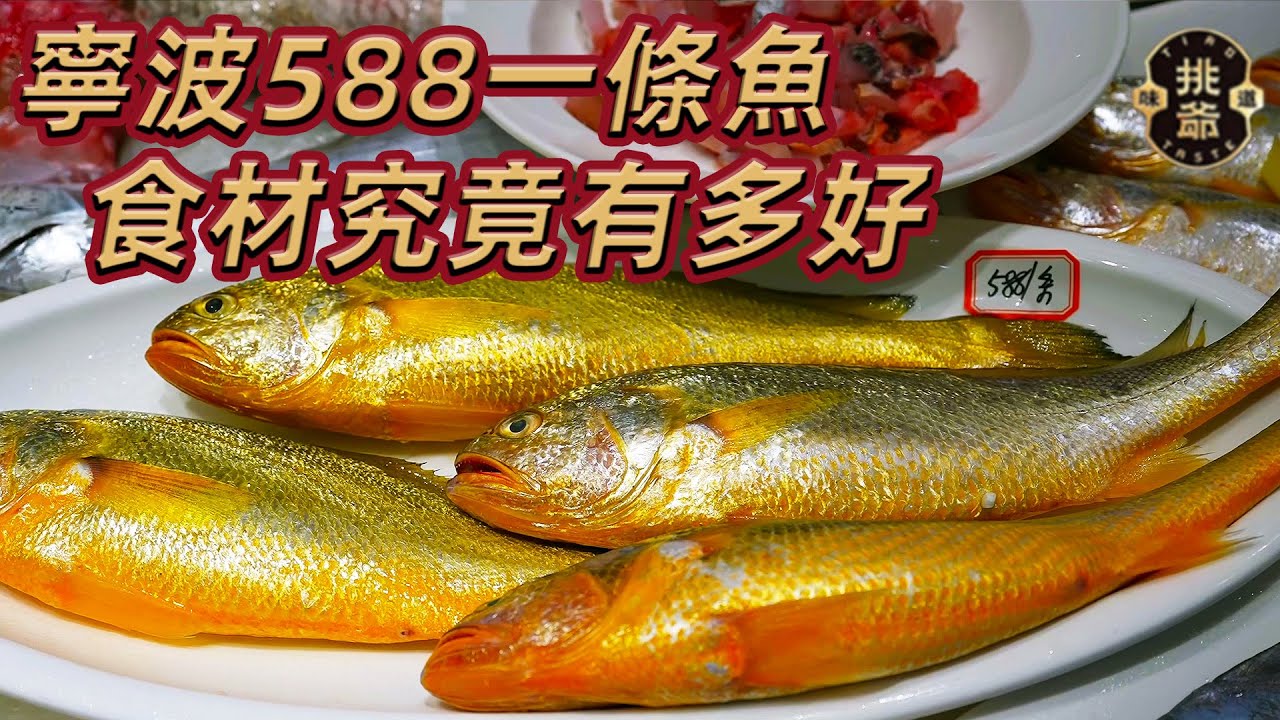 寧波海鮮大排擋一條魚賣588？食材究竟有多好| 挑爺貴系列