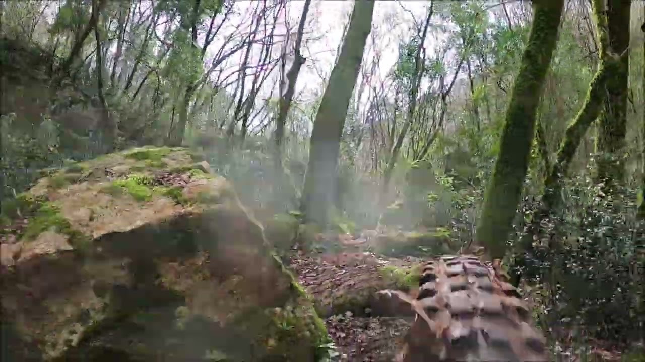 Trail Canalone 1 e 2 Bike Park Crocette