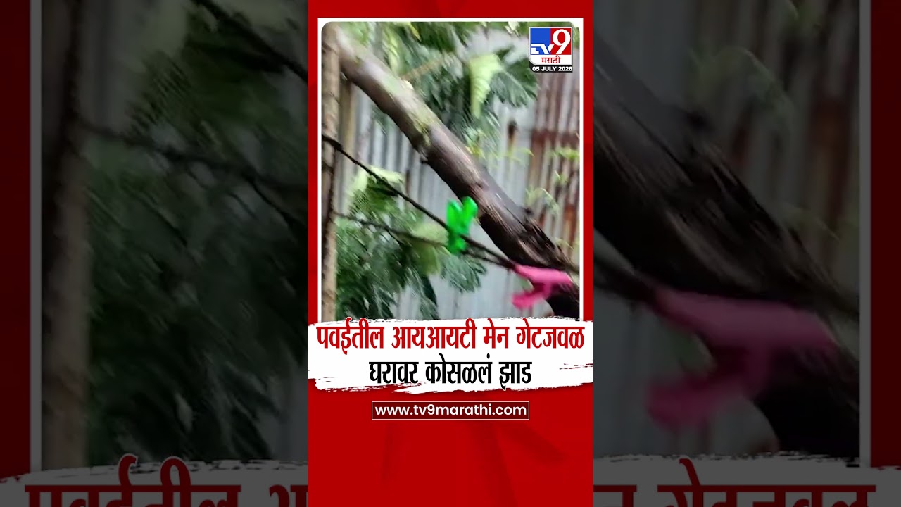 Mumbai IIT Tree Collapsed | पवईतील आयआयटी मेन गेटजवळ घरावर कोसळलं झाड
