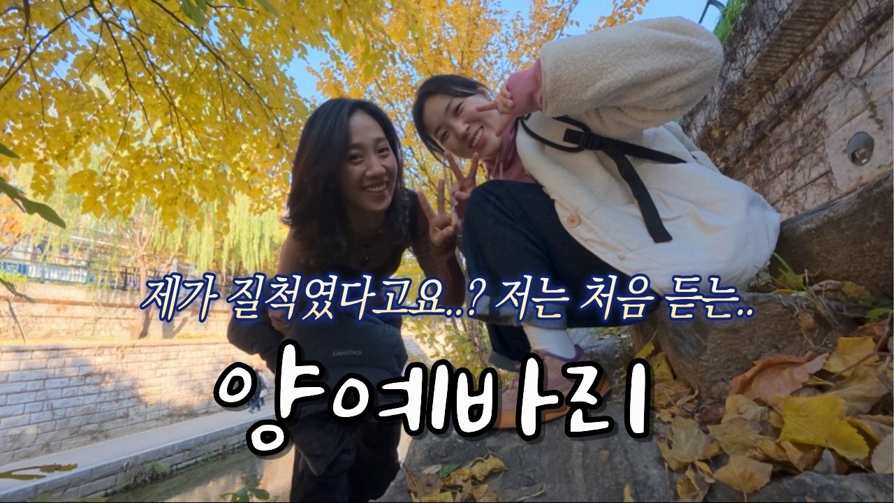 양세바리를 이을 양예바리