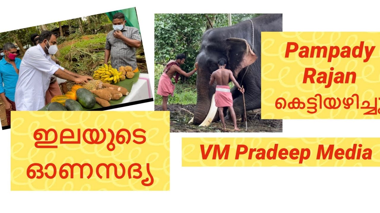 Pampady Rajan Kettiazhichu  VM Pradeep Media Elephant story