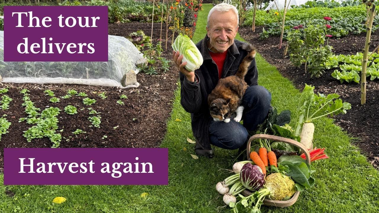 October No Dig Harvest – Late Season Bounty from Summer Sowings | Key Dates & Autumn Abundance