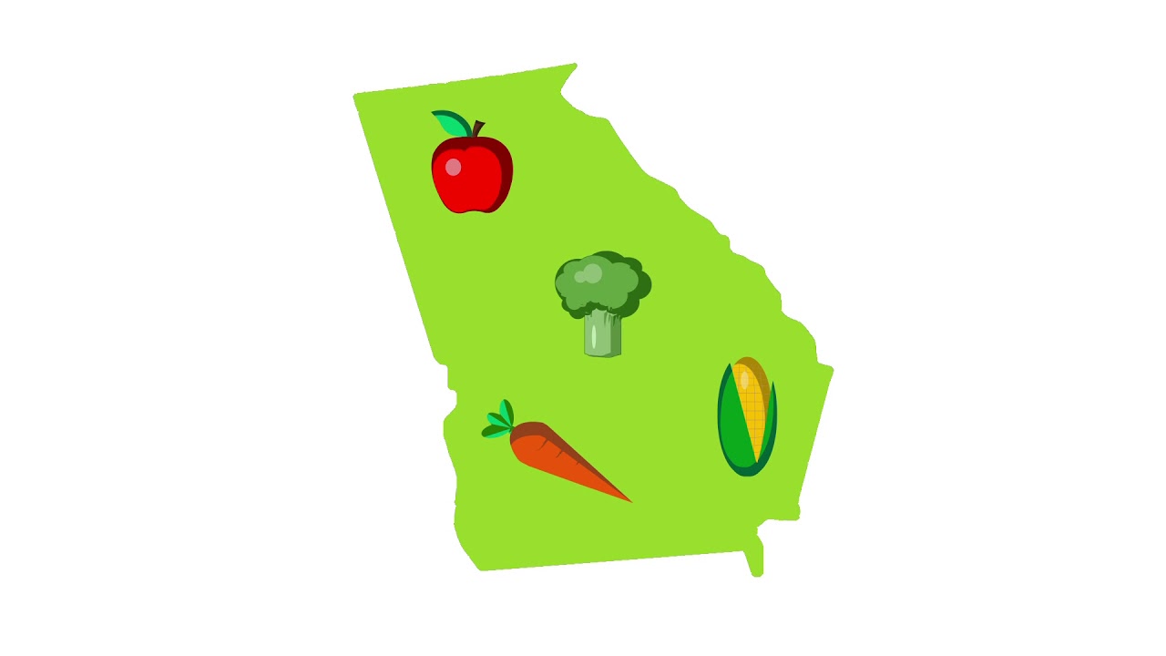 What is a food desert?