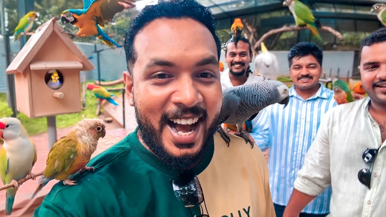 തഞ്ചാവൂർ എത്തിയപ്പോൾ കിളി പോയി 🦜🛕