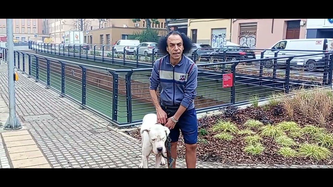 Diego Torregrossa- I navigli di Bologna 