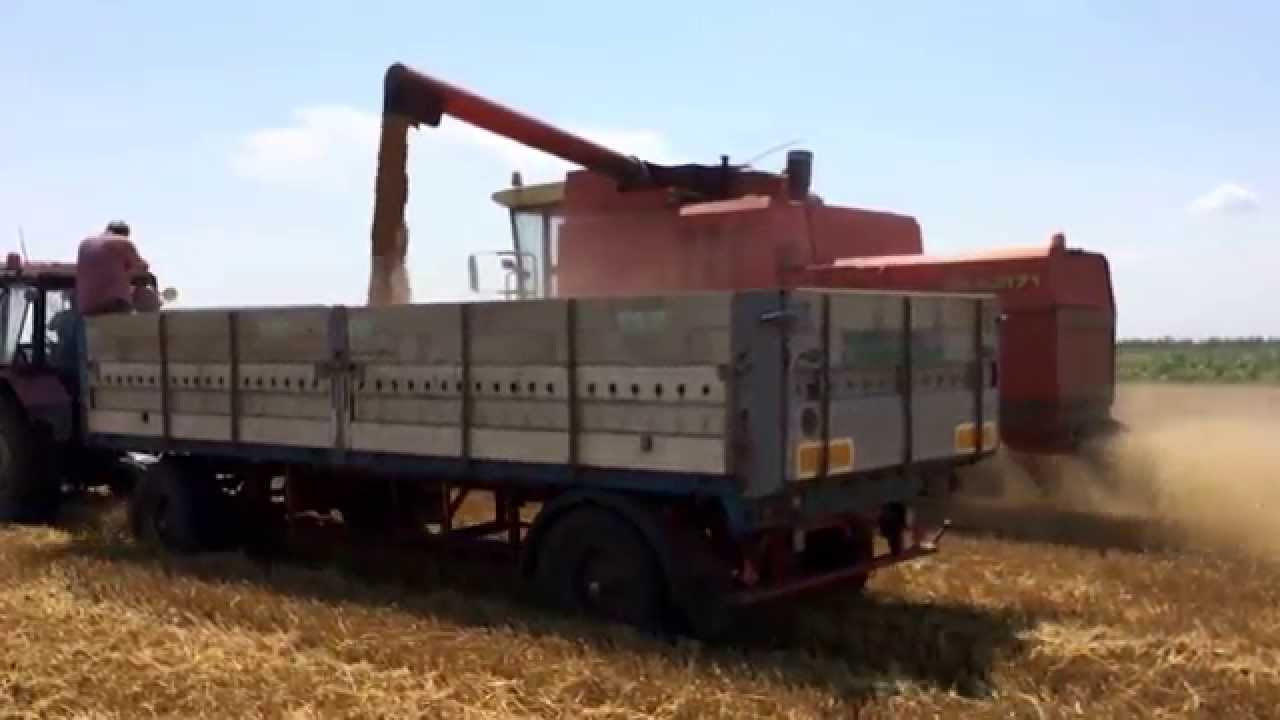 Zetva 2014, Zmaj 171