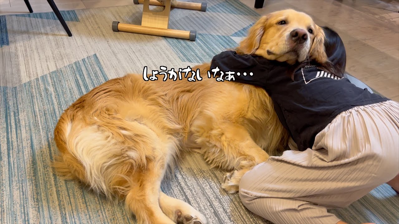 こんなに大きい体なのに、親友の姉には、されるがままの愛犬w