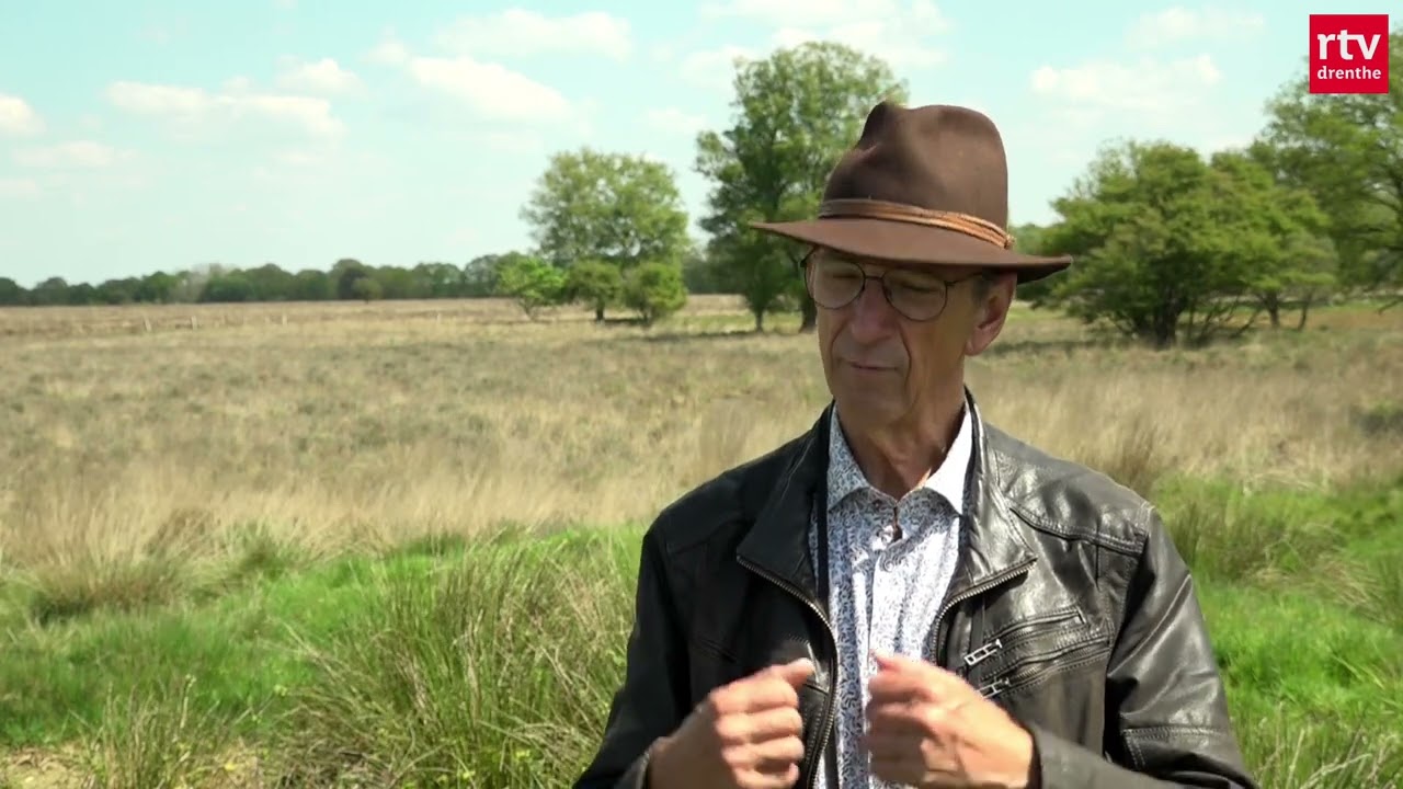 Invasieve exoten op het Dwingelderveld: zand erover!