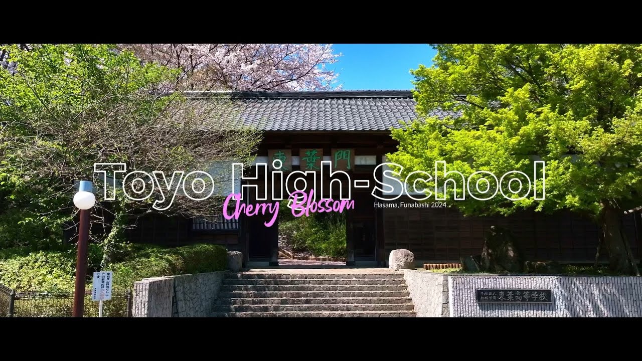 『東葉高校　2024桜景色』