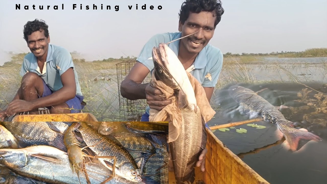 🎣🚣ఈరోజు నా చేపల వేట దుమ్ము దులిపింది అండోయ్. | Big fish and small fish | fish Hunting in Telugu.