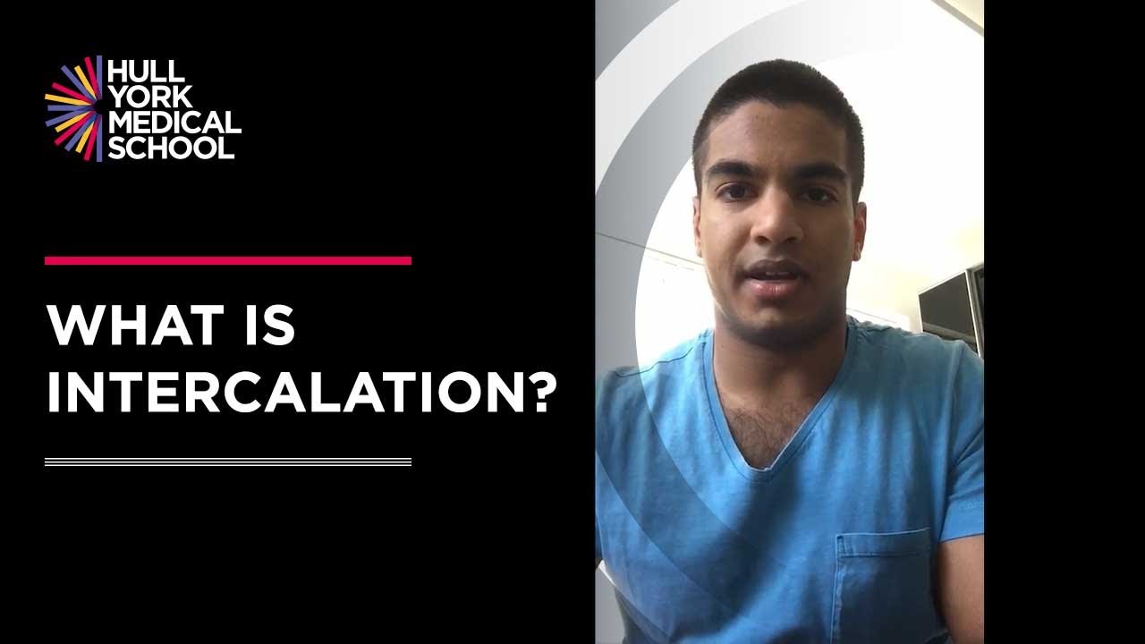 What is intercalation?