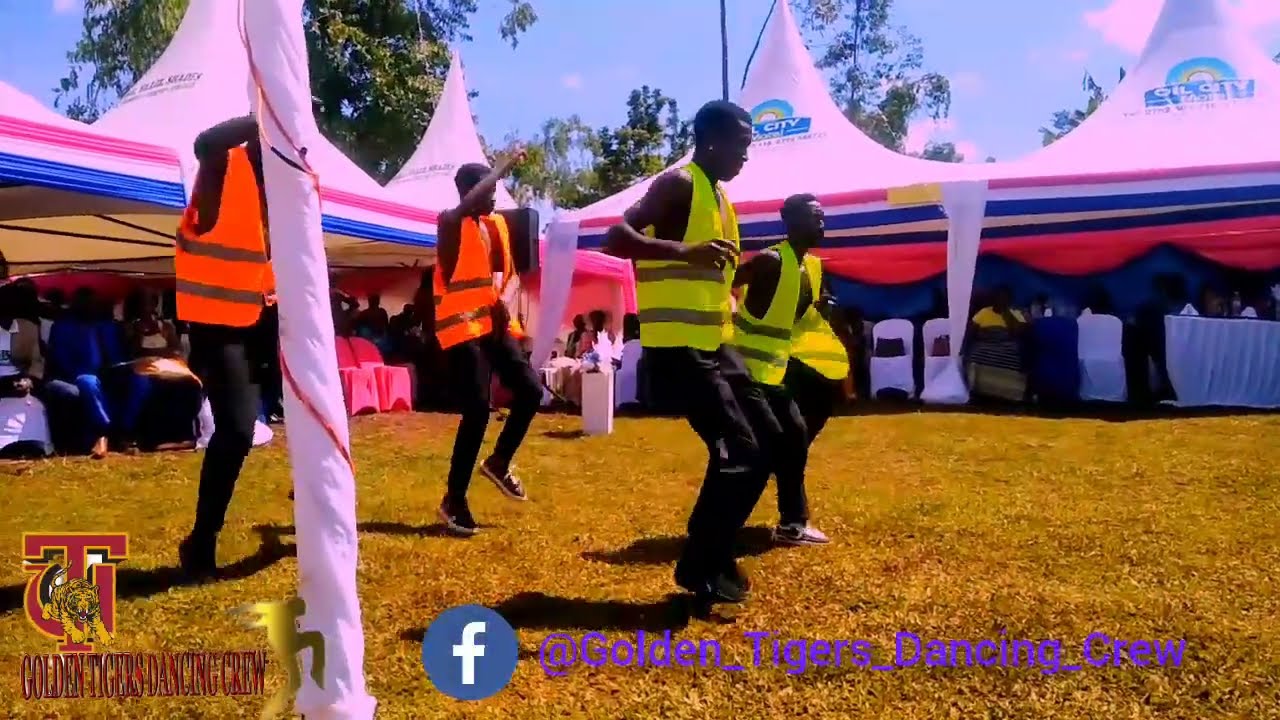 Party Dance challenge Golden Tigers Dancing Crew