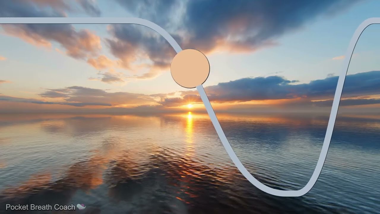 4-7-8 Breath: The Parasympathetic Reset