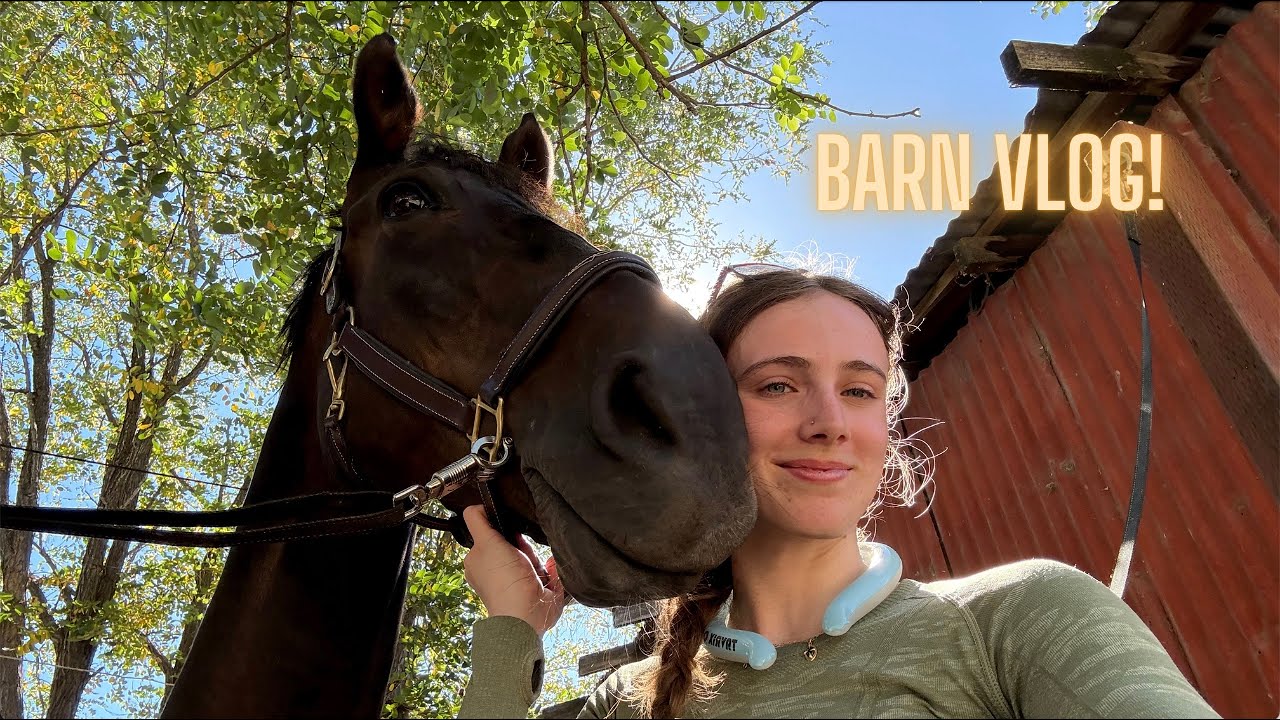 Barn Vlog!