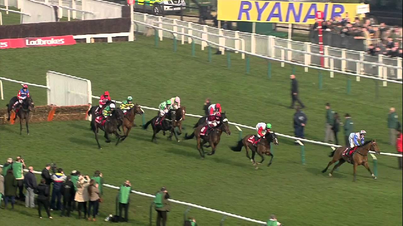 2014 Ladbrokes World Hurdle - More Of That - Racing TV