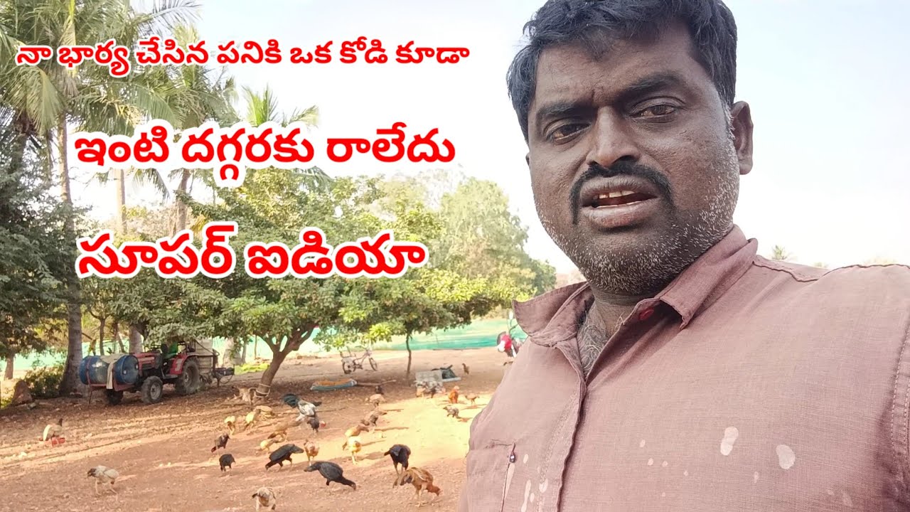 ఇంటి దగ్గర కోళ్లు రెట్ట వేస్తున్నాయి అని  నా భార్య సూపర్ ఐడియా వేసింది