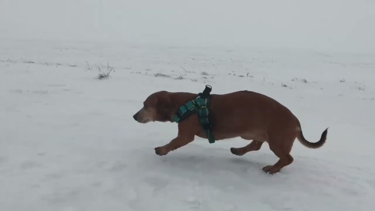 Goov With Groove - Bailando En La Nieve Fria (Salsa)
