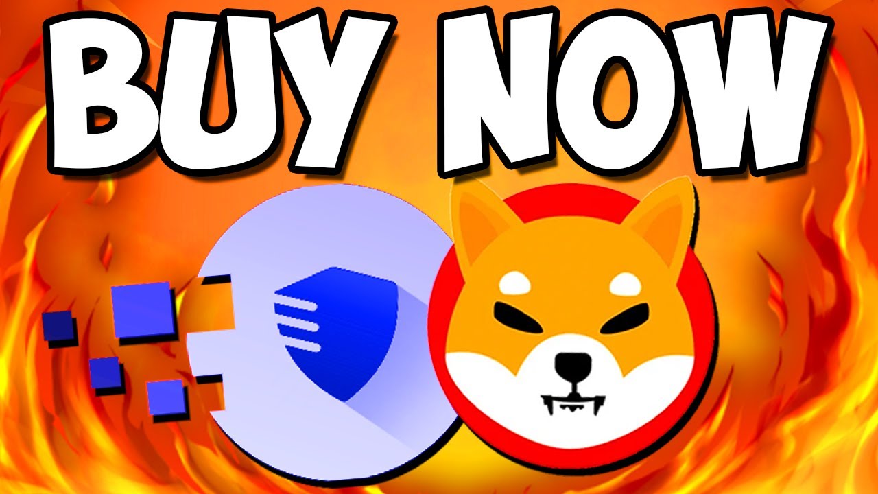 SHIB ARMY: NEW CHARITY PROJECT THAT WILL MAKE YOU A MILLIONAIRE - EXPLAINED