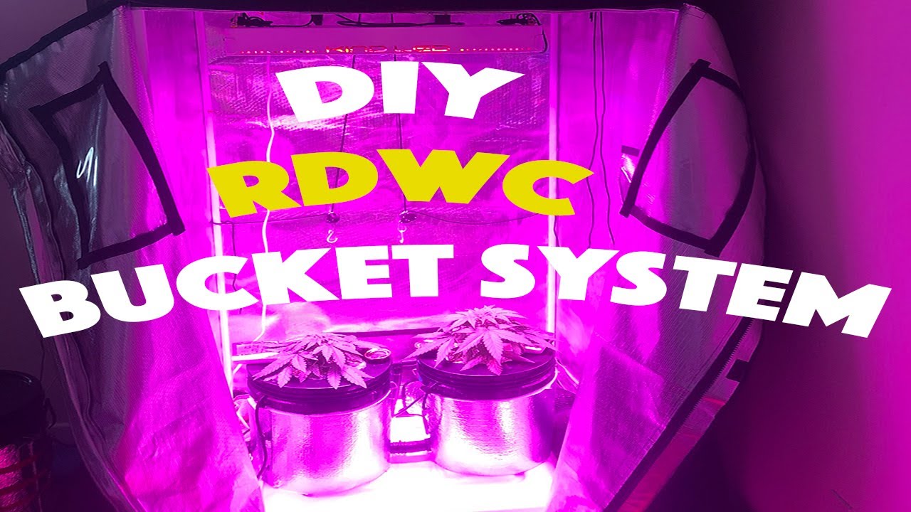 RDWC Waterfall System with Outside Reservoir - DIY Setup