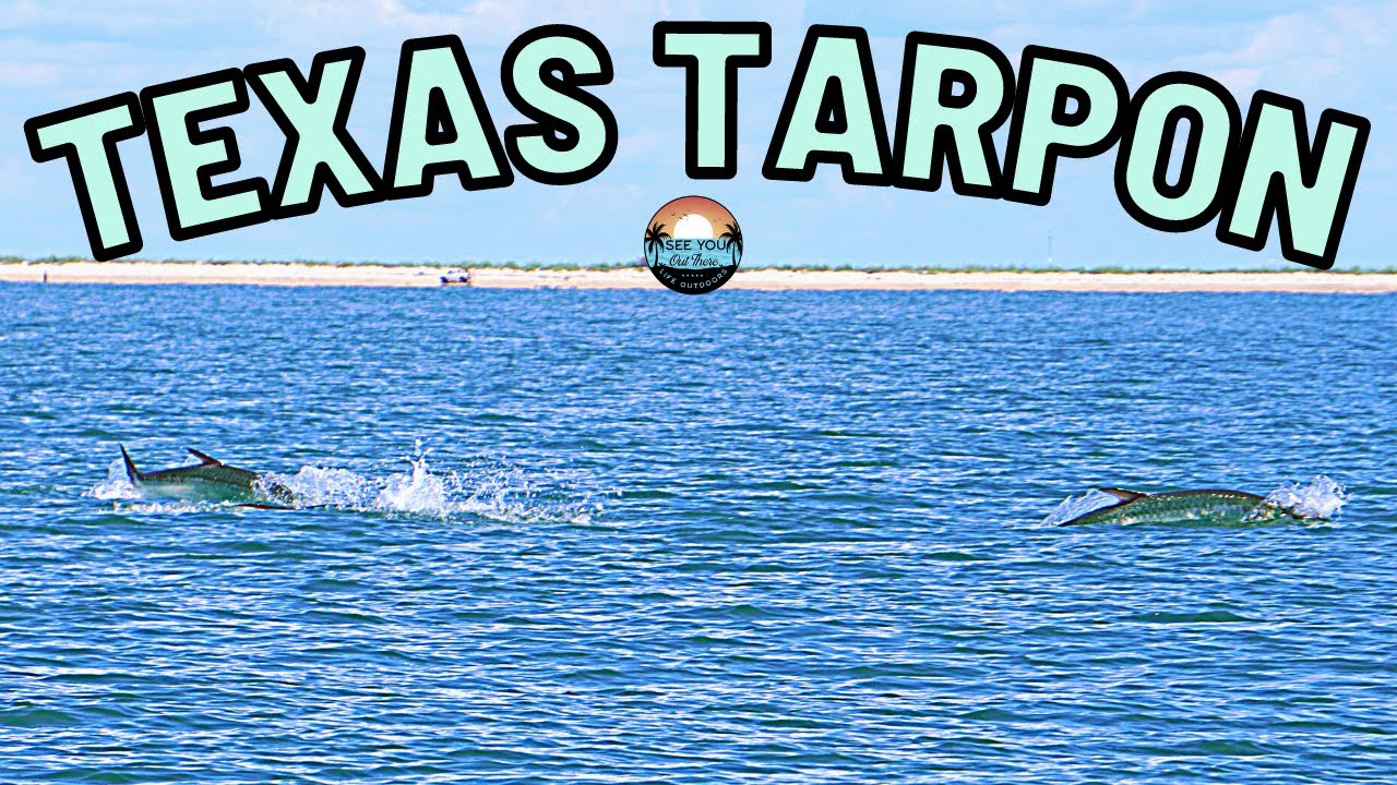 Texas Tarpon | See it to BELIEVE it!!