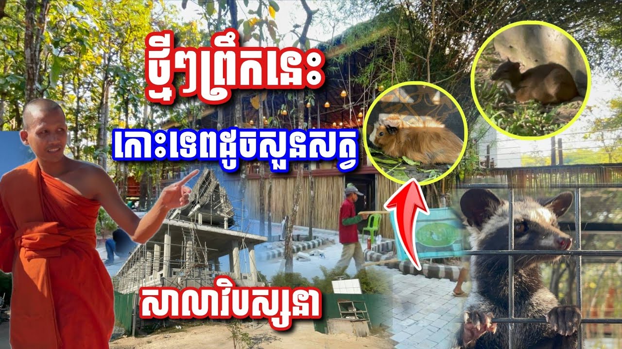 ថ្មីៗព្រឹកនេះ​ កោះទេពឥឡូវដូចសួនសត្វ សាលា​វិបស្សនា​#អាមាត្យជន 