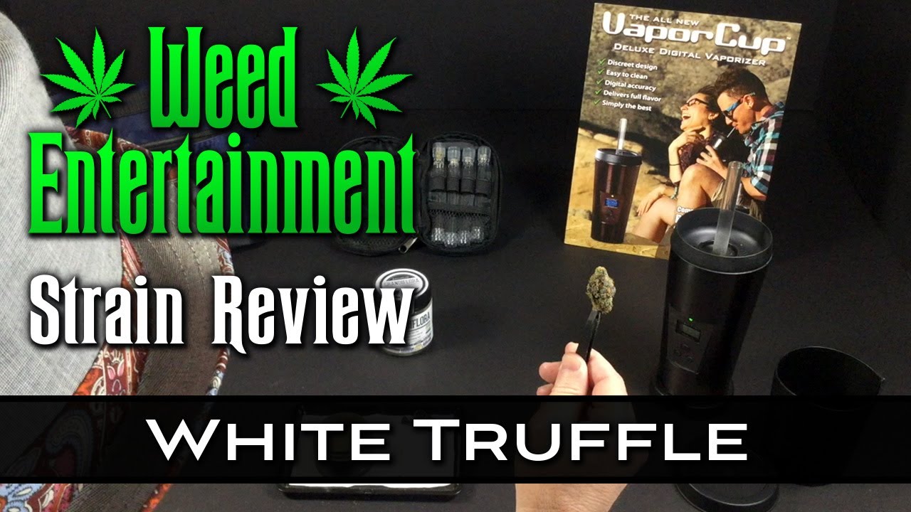 White Truffle - Hybrid - by Cookies - Strain Review - from Dr Greenthumbs, Sylmar, Ca