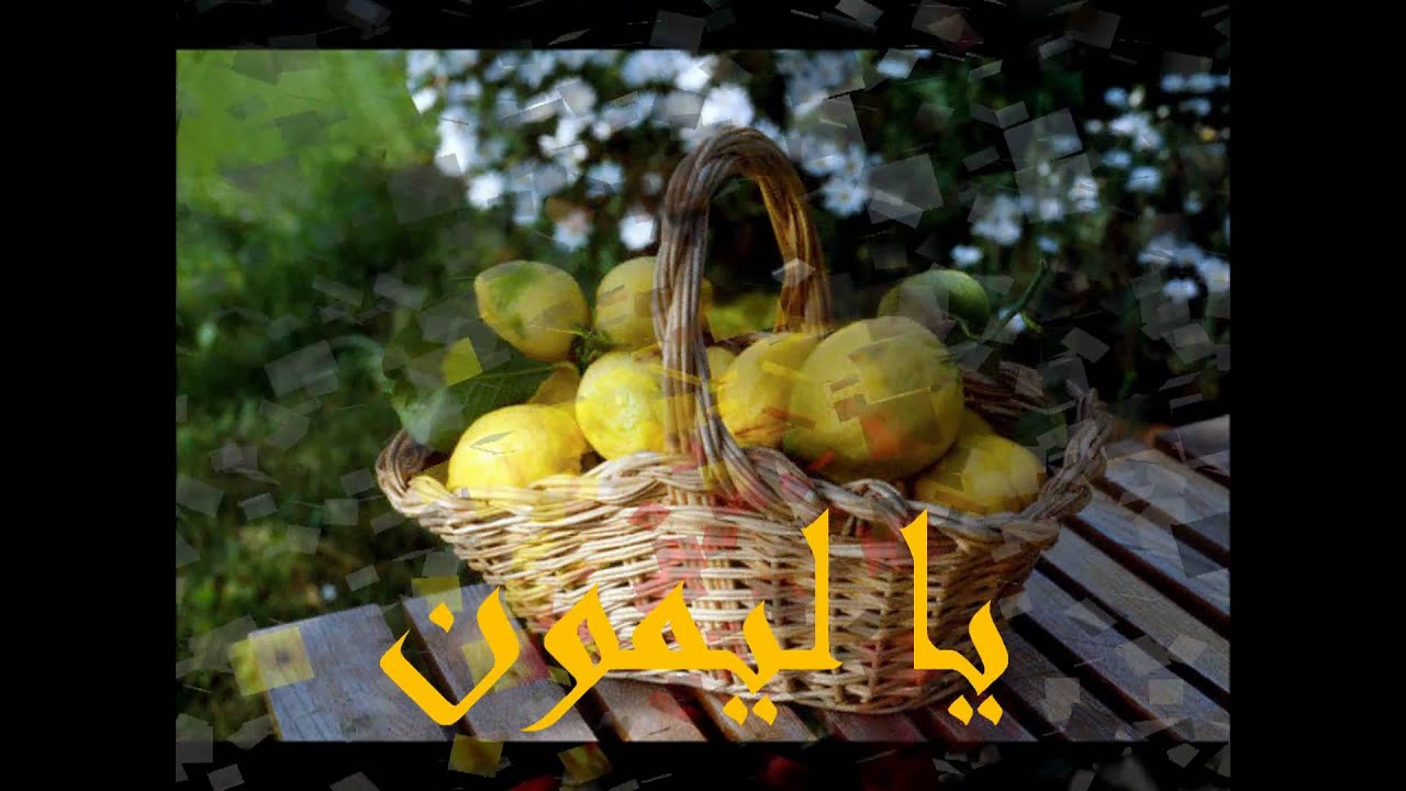 يا ليمون / أحمد قعبور - Ya Laymoun / Ahmad Kaabour