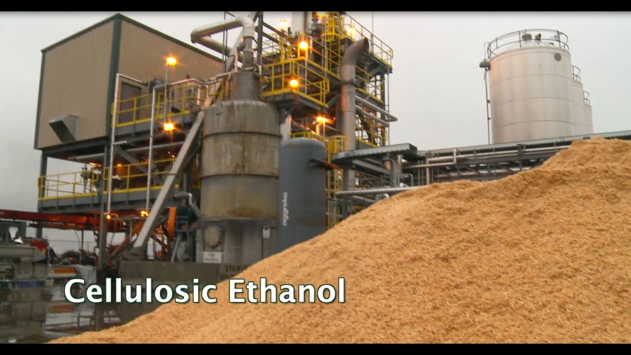 Renewable Biofuels and Biochemicals: Cellulosic Ethanol