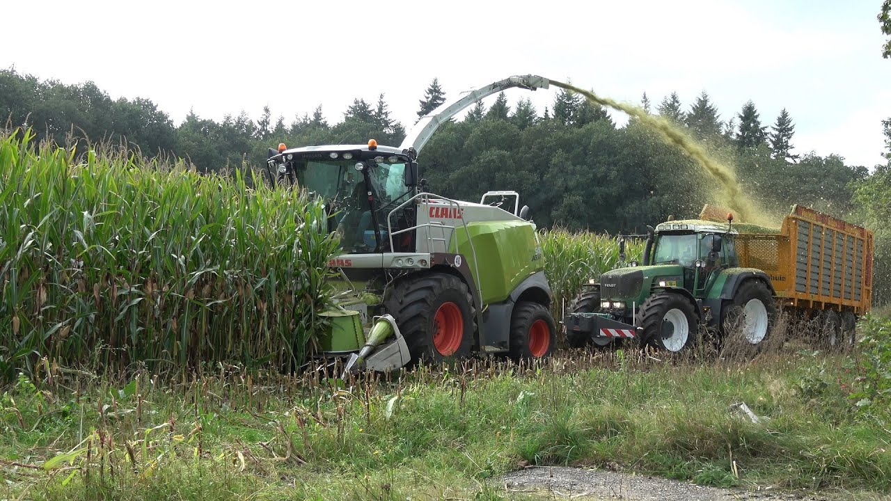 Mais hakselen met Claas Jaguar 940 en Fendt trekkers door loonbedrijf Fa Fokkert (2023)