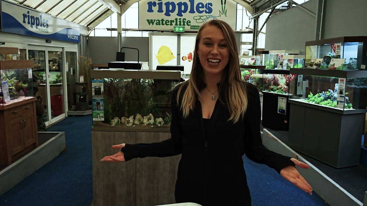 Out of the Offish With Colette Episode 22 - Ripples Waterworld Bridgemere Fish shop tour