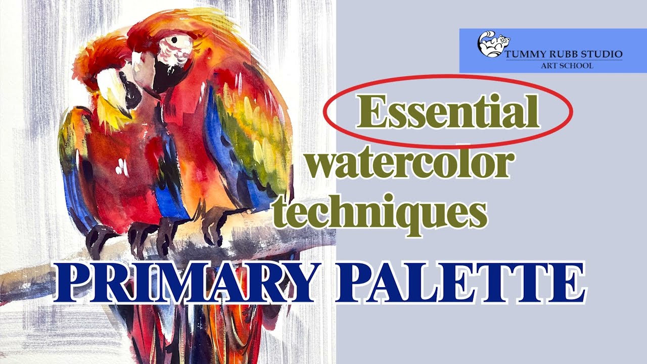 Colorful parrots with only primary colors: normal speed tutorial