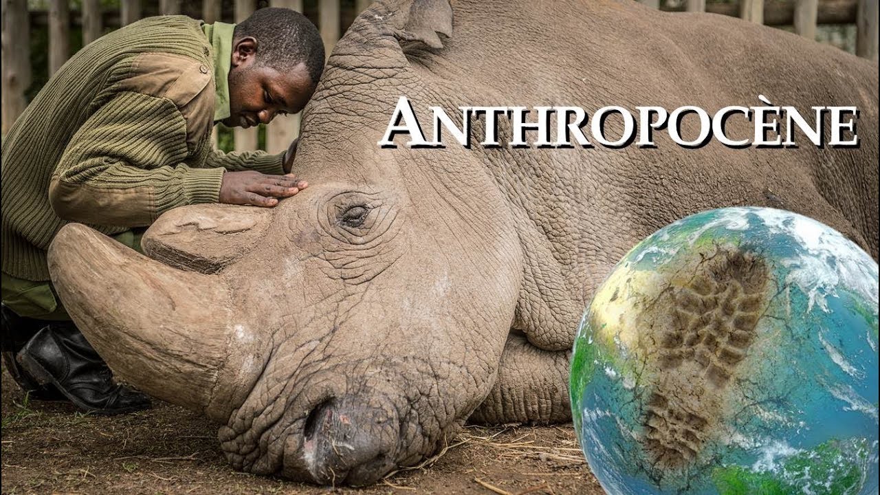 L'Anthropoc&egrave;ne, c'est quoi ?