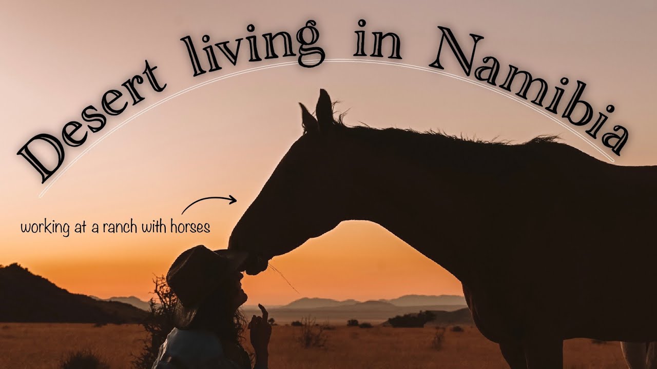7 weeks working at a ranch in Namibia - Ranch Koiimasis