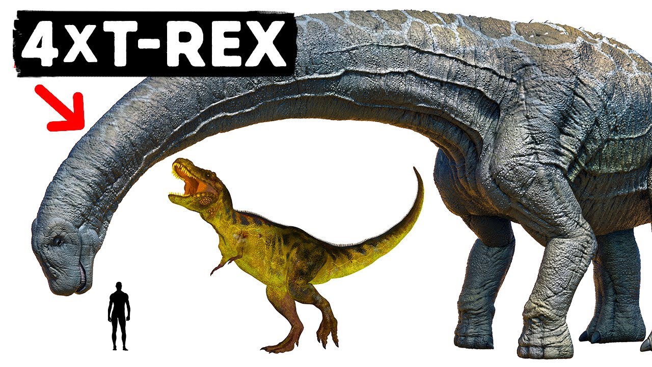 Bir Zamanlar Dünya’da Kaç T-Rex Vardı?