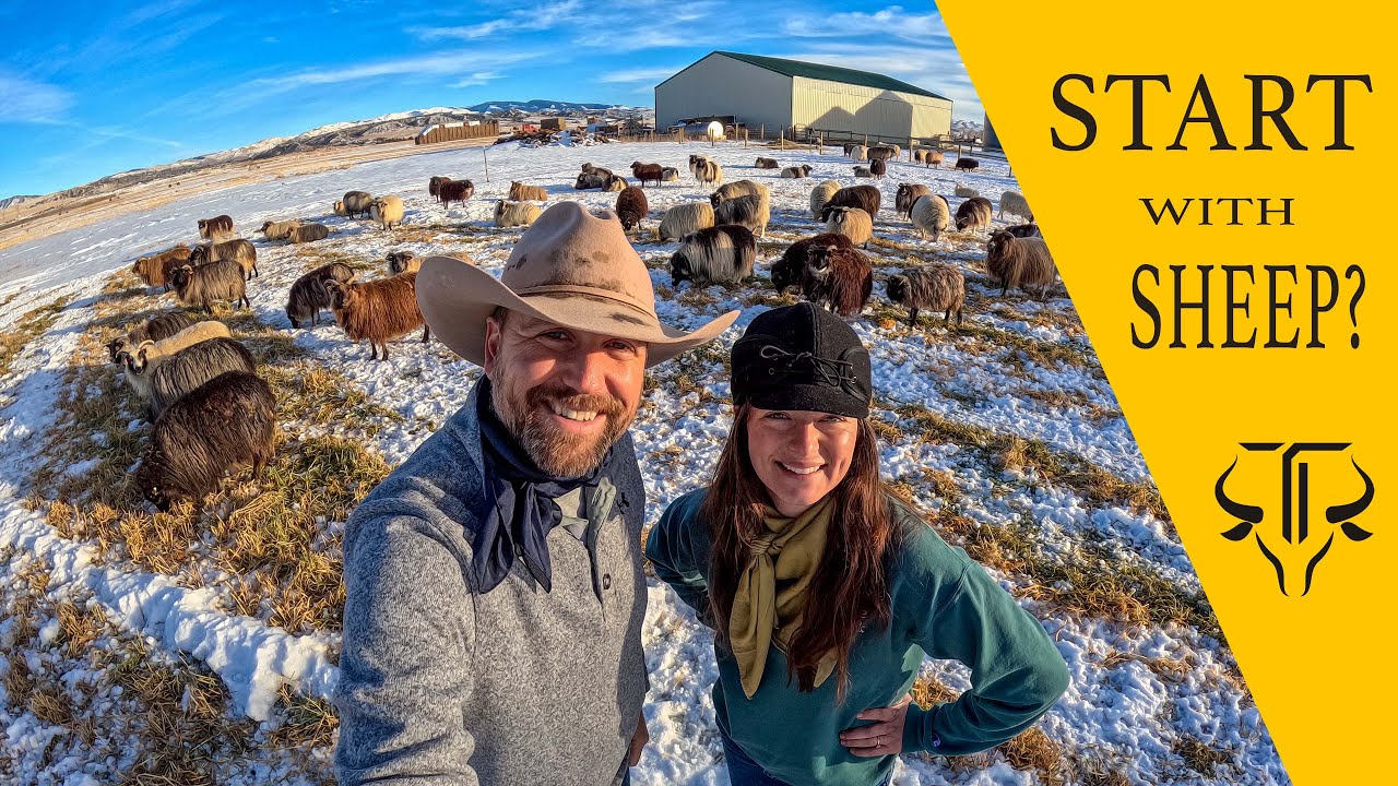 How to Start a Small Business as a Cowgirl!!  MONTANA STYLE