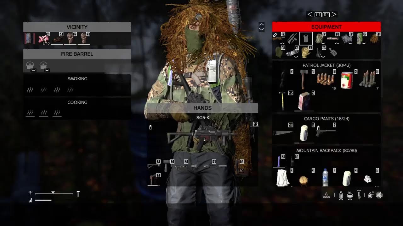 Surviving aonther day in DayZ