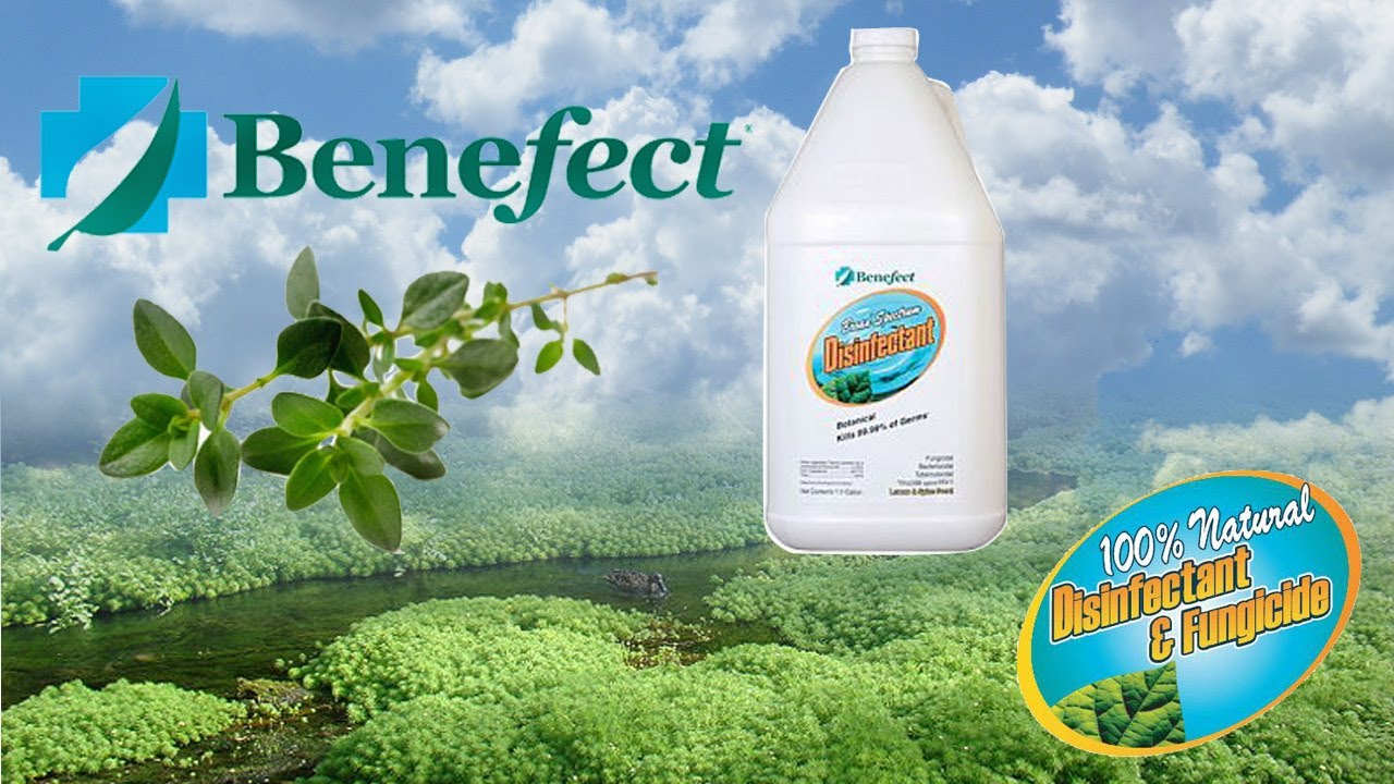 Benefect 100% Natural Disinfectant - The Benefect Story