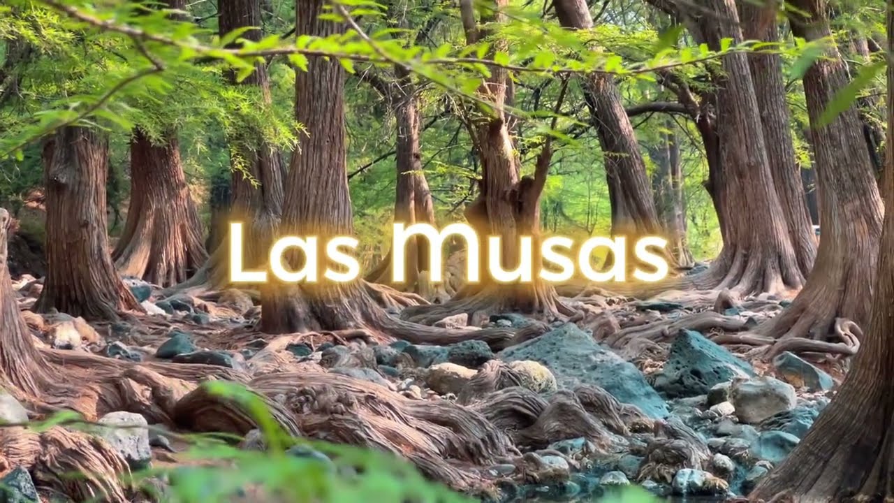 Visitamos LAS MUSAS en Manuel Doblado, Gto.