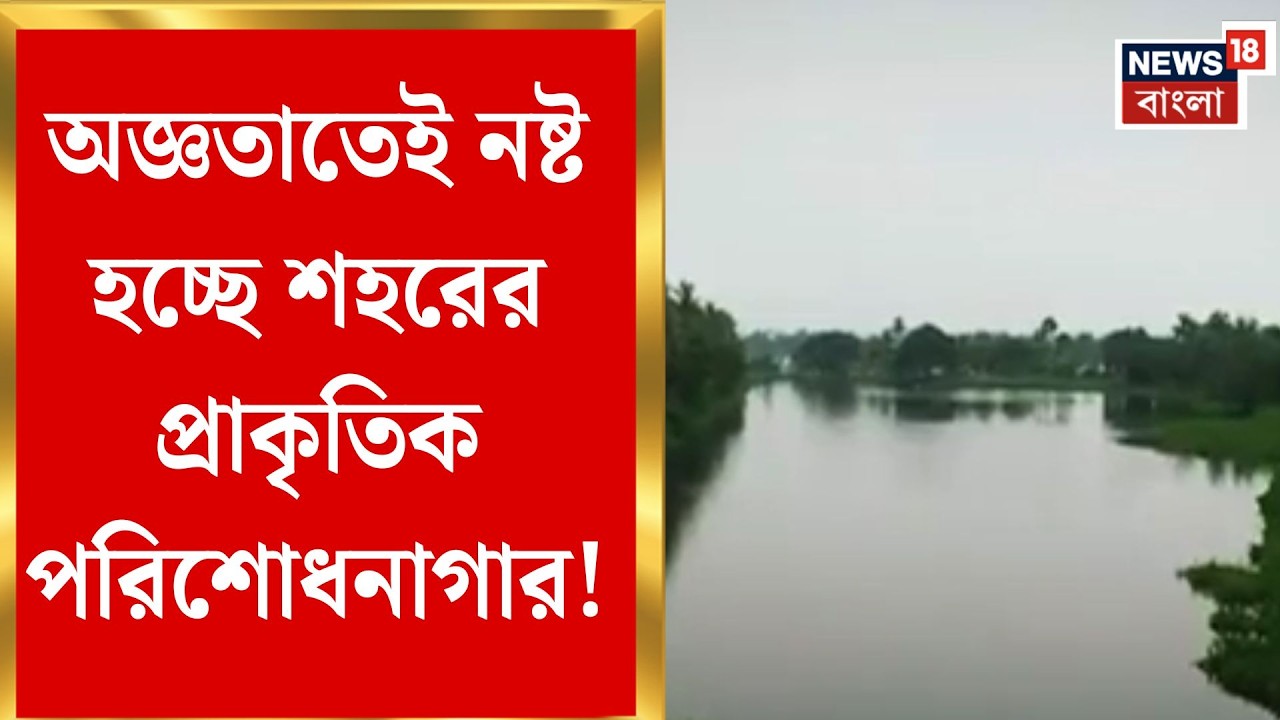 Kolkata Wetland | কলকাতার ‘কিডনি’ কি বিলুপ্তির পথে? পূর্ব কলকাতার জলাভূমি ঘিরে বড় প্রশ্ন