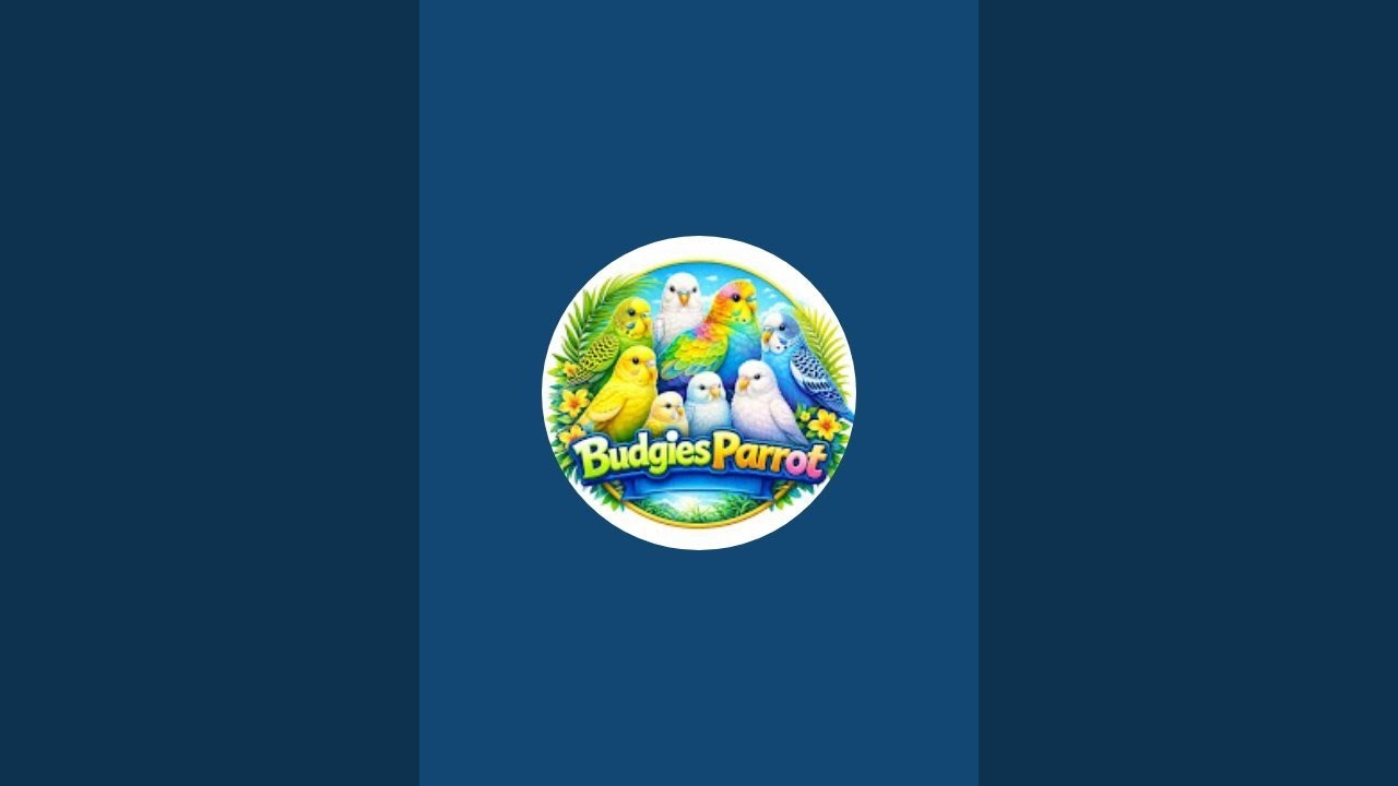 Budgies Parrot 🦜 is live!