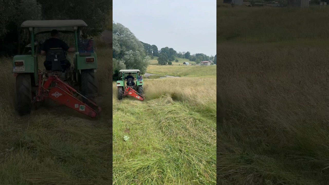 Gras m&auml;hen mit dem Deutz 5506 A | Doppelm&auml;hwerk von Busatis im Einsatz!