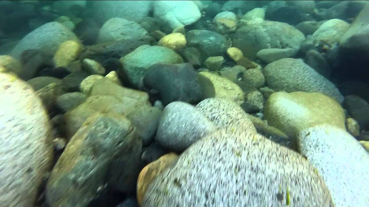 Float Fishing a GoPro Chilliwack / Vedder River BC