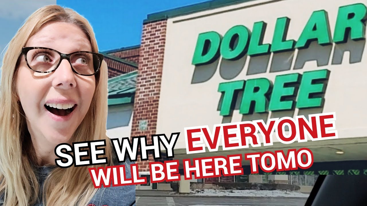 DOLLAR TREE*Brand New Arrivals you NEED TO SEE! ONLY $1.25 WON'T LAST