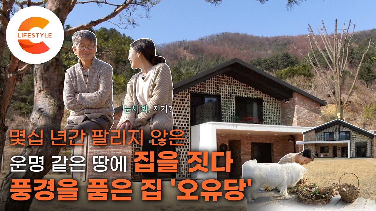 몇십 년간 팔리지 않은 땅에 집을 짓기로 했다. 보일 듯 보이지 않는 매력있는 집 ‘시스루 하우스'를 지은 방법 | #건축탐구집
