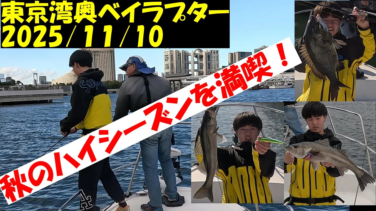 【東京湾ボートシーバス釣行記】令和７年１１月１０日　秋晴れの湾奥で短時間ですが秋のハイシーズンを満喫出来ました。