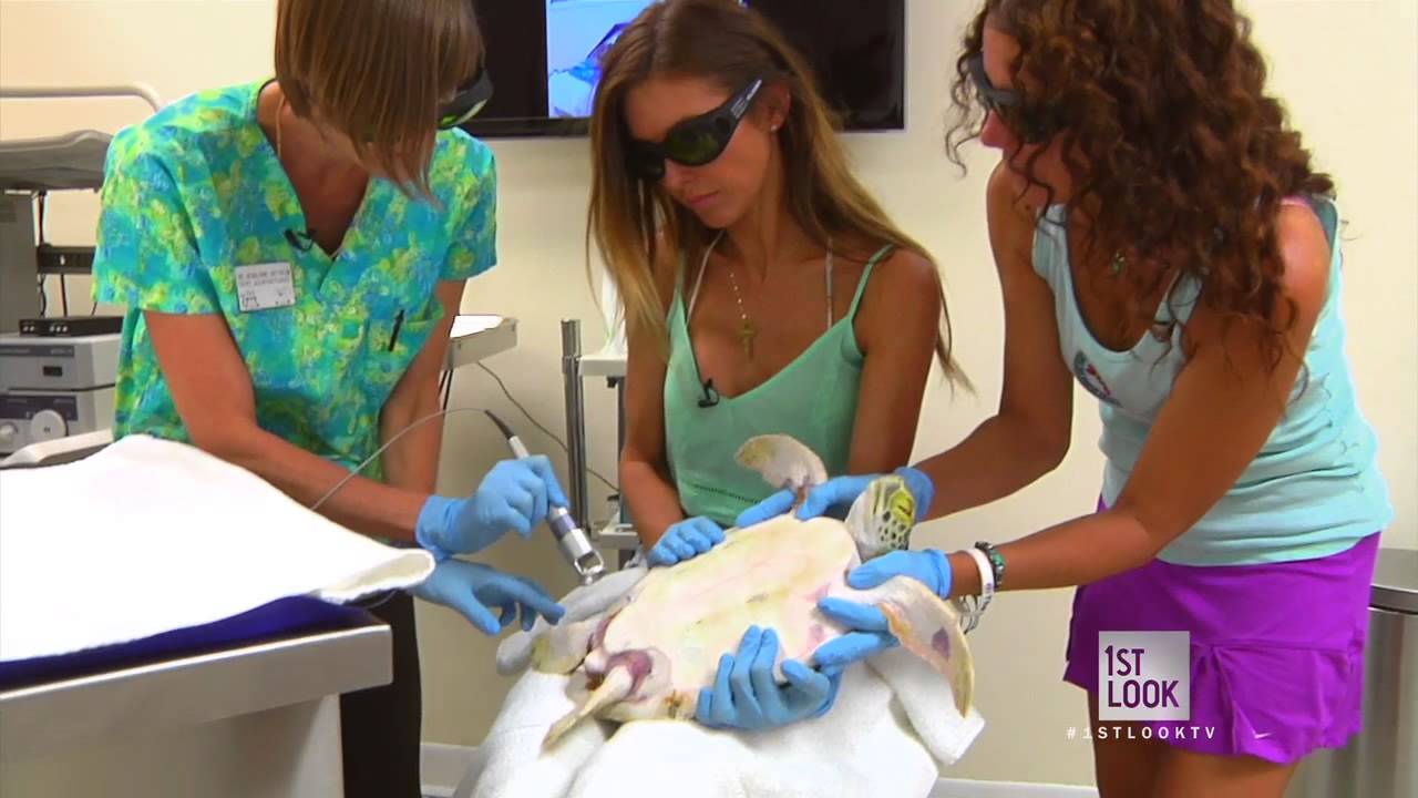 The Turtle Hospital Is a Turtle Safe Haven
